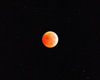 Eclipsed Moon in Star Field (click to enlarge)